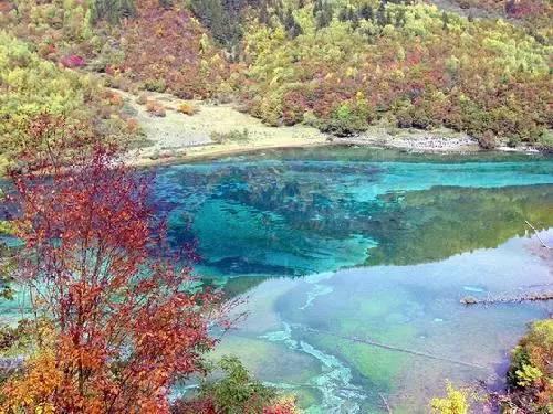 逃出林中村